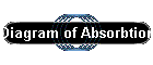 Diagram of Absorbtion